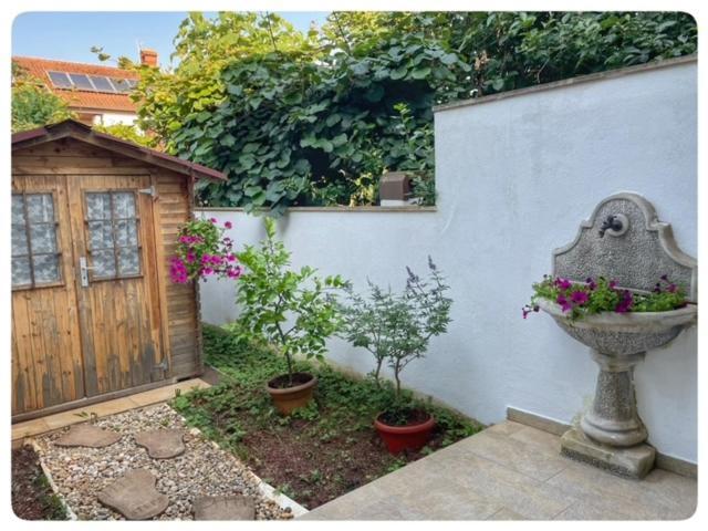 דירות זמברטיה Apartman Sorgo מראה חיצוני תמונה